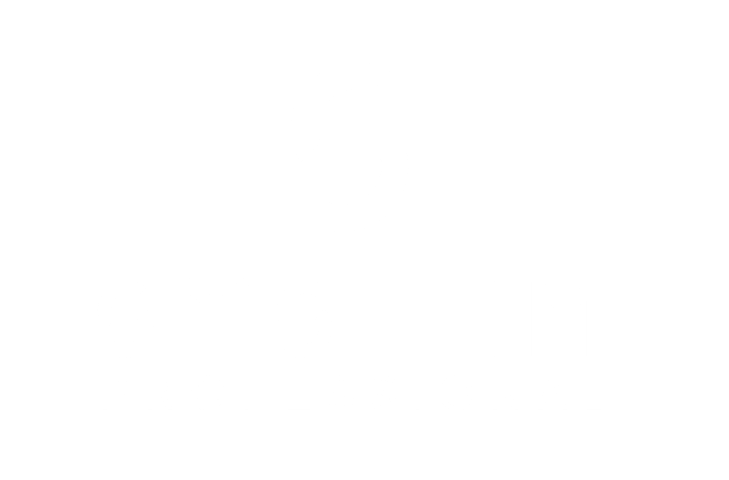 logo system professional